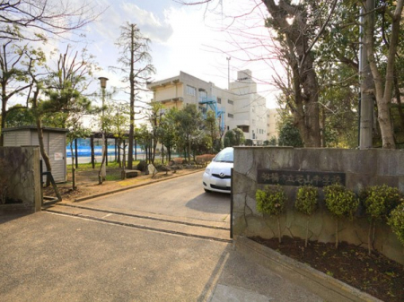 ӊ@wZ 800m DsŎRwZ