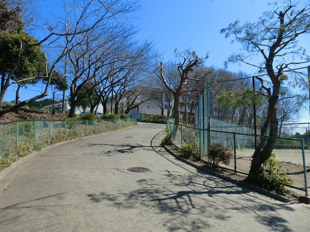 ӊ@wZ 600m ˎs͌ˏwZ