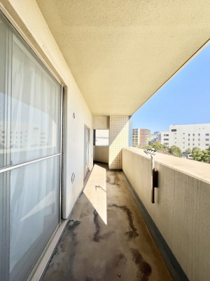 oRj[@Sn悢Ȃ炨󕨂ł