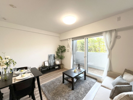 rO@傫ȑ炽Ղ̗zƕ郊rO  