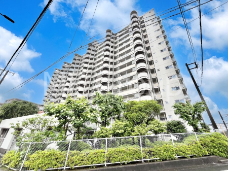 nOώʐ^@Ƃ肪Ί𐶂ސSn悢 @