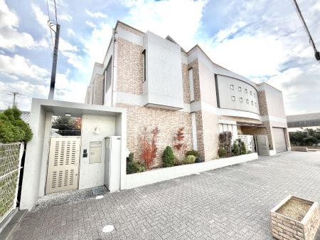 nOώʐ^@Ƃ肪Ί𐶂ސSn悢 