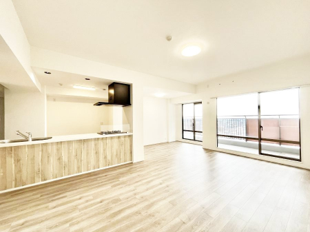 rO@傫ȑ炽Ղ̗zƕ郊rO