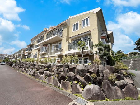 nOώʐ^@Ƃ肪Ί𐶂ސSn悢  