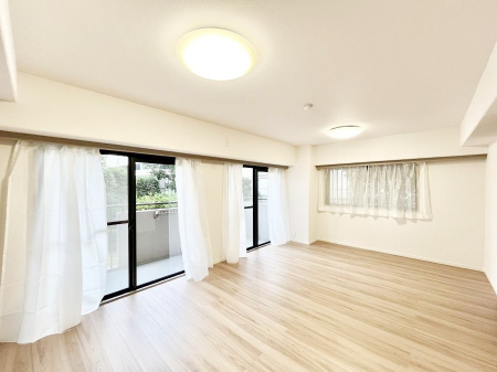 rO@傫ȑ炽Ղ̗zƕ郊rO