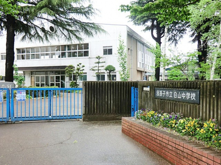 ӊ@wZ 992m 䑷qsRwZ