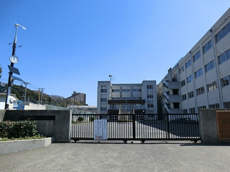 ӊ@wZ 500m ˎsKJwZ