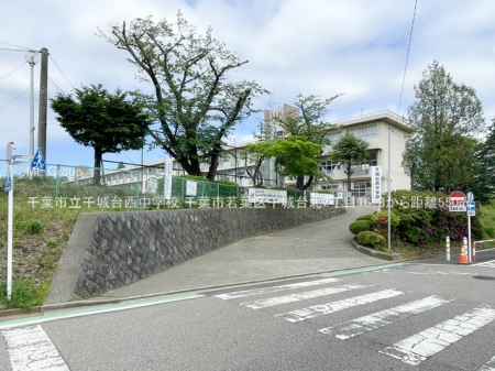 ӊ@wZ 550m ts䐼wZ