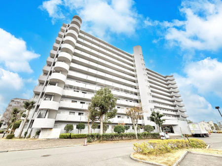 nOώʐ^@Ƃ肪Ί𐶂ސSn悢 