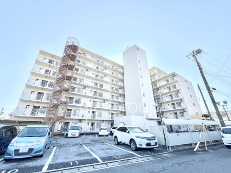 nOώʐ^@Ƃ肪Ί𐶂ސSn悢 