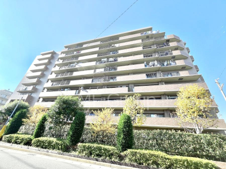 nOώʐ^@Ƃ肪Ί𐶂ސSn悢 