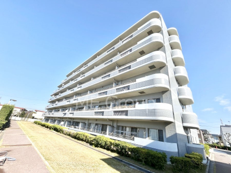 nOώʐ^@Ƃ肪Ί𐶂ސSn悢 