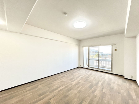 rO@傫ȑ炽Ղ̗zƕ郊rO  