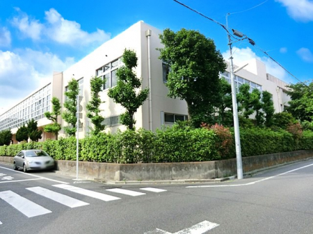 ӊ@wZ 300m 旧xؒwZ