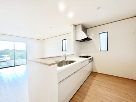 Lb`@Ȃ炲ƑƂ̉by߂ΖʃJE^[Lb`