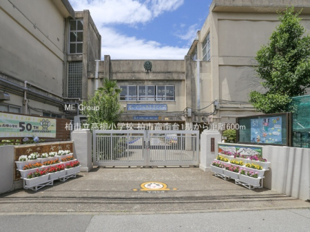 ���ӊ��@���w�Z 600m ���s���������w�Z