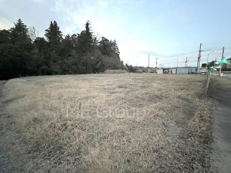 ���n�y�n�ʐ^�@���Ȃ��̎v���`���Ƃ����ĂĂ݂܂���