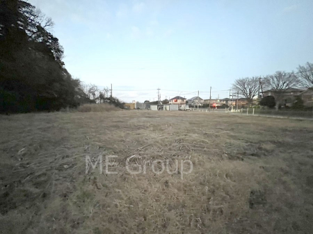 ���n�y�n�ʐ^�@�z���ɕ�܂��Ƒ��̓��핗�i��S�䂭�܂�  