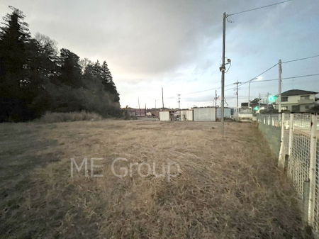 ���n�y�n�ʐ^�@��������n�܂�V�����������������܂�