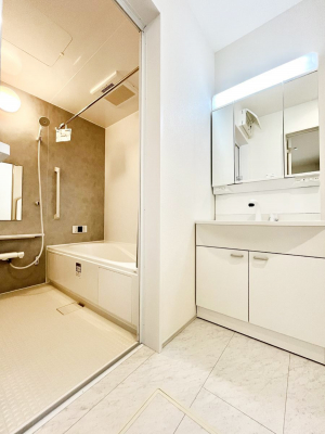 ���̑��@������A�������`Dressing Room�`  ����������F�����œ��ꂳ��Ă���ƁA�X�b�L���Ɛ�������ۂ������܂��B���̗��ɂ͂����Ղ�Ǝ��[�X�y�[�X��W�������I�����́A�V���v�����@�\�����d�����āB