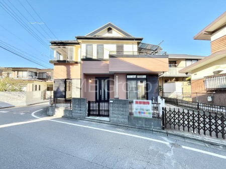 ���n�O�ώʐ^�@����z���ł��Ƒ��̏Ί���P��