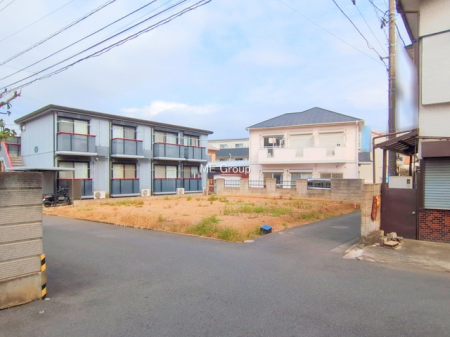 ���n�y�n�ʐ^�@-