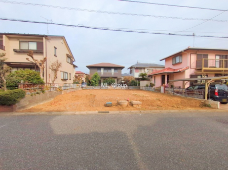 ���n�y�n�ʐ^�@-