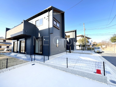 ���n�O�ώʐ^�@��������n�܂�V�����������������܂�