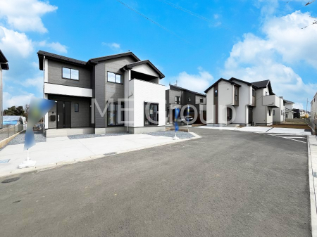 ���n�O�ώʐ^�@��������n�܂�V�����������������܂�