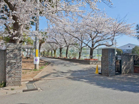 ���ӊ��@���w�Z 520m ��t�s�����钆�w�Z