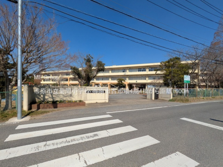 ���ӊ��@���w�Z 1600m �s���s���e�ԏ��w�Z