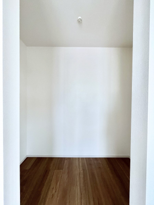 ���̑��@�������R�������`Walk-in Closet�`�@��������̗m���������Ă��V���ɂȂ�ɂ����E�H�[�N�C���N���[�[�b�g�B�m���ȊO�ɂ��A���i�g��Ȃ��Ɠd��X�[�c�P�[�X�A�X�g�b�N�i�Ȃǉ��ł��Еt����������Ԃł��B