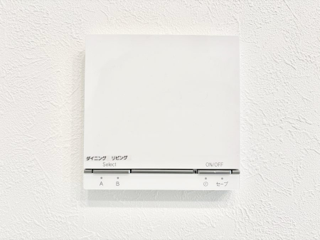 ���̑����ρ@���g�[�t���œ~���|�J�|�J�B���Ƒ��̌e���̃X�y�[�X�ɂȂ�܂��ˁB