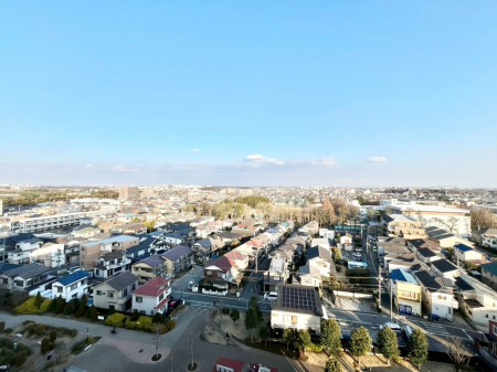 ���̑��@�o���R�j�[����̒��]�ł�