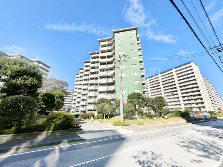 ���n�O�ώʐ^�@����z���ł��Ƒ��̏Ί���P��