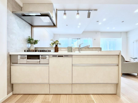 �L�b�`���@�H��@�E�򐅊�E�R�c���R�����Ȃǃf�U�C�������@�\�������˔������V�X�e���L�b�`���I