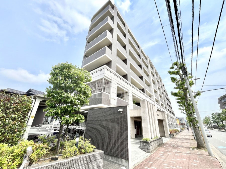 ���n�O�ώʐ^�@����z���ł��Ƒ��̏Ί���P�� 