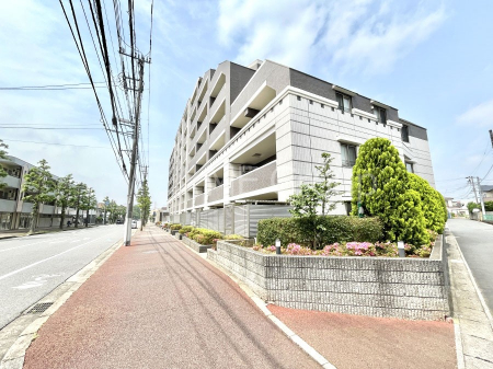 ���n�O�ώʐ^�@��������n�܂�V�����������������܂�