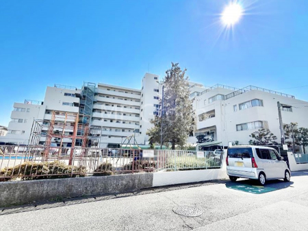 ���n�O�ώʐ^�@����z���ł��Ƒ��̏Ί���P�� 