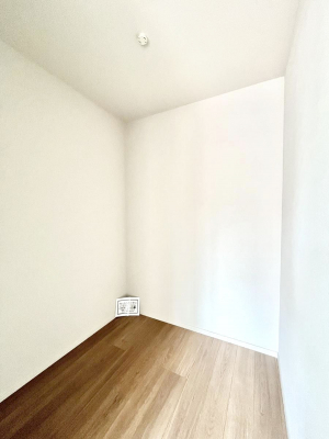 ���̑��@�������P�������`Walk-in Closet�`�@��������̗m���������Ă��V���ɂȂ�ɂ����E�H�[�N�C���N���[�[�b�g�B�m���ȊO�ɂ��A���i�g��Ȃ��Ɠd��X�[�c�P�[�X�A�X�g�b�N�i�Ȃǉ��ł��Еt����������Ԃł��B