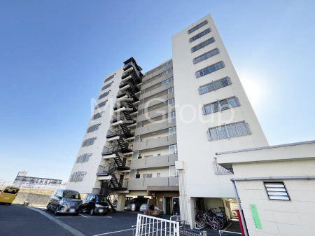 ���n�O�ώʐ^�@����z���ł��Ƒ��̏Ί���P��