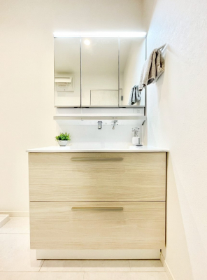 ���ʑ�E���ʏ��@���[�͂Ƌ@�\���ɗD�ꂽ���ʉ��ϑ�