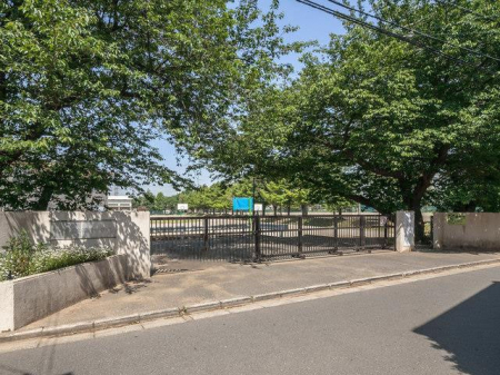 ���ӊ��@���w�Z 1900m �D���s���D�����w�Z