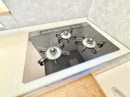 ���̑����ρ@�O���K�X�R�����ł���������C�ɂ͂��ǂ肻��  