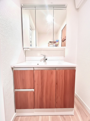 ���ʑ�E���ʏ��@�����`Dressing Room�`�@�\���ȑ傫���̐��ʑ�͎��[�����鎖�Ȃ���A�g�����Ȃ݃`�F�b�N�⎕�����ȂǁA���̍Q�����������Ԃł��z�e�����C�N�ȃX�y�[�X�ŗ]�T�Ƃ�Ƃ�������Ē����܂��B��CG���H�ς�