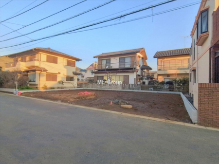 ���n�y�n�ʐ^�@-