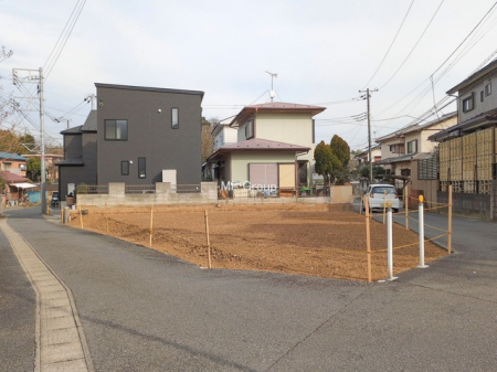 ���n�y�n�ʐ^�@-