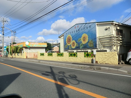 ���ӊ��@�c�t���E�ۈ牀 500m ���D���Ђ܂��c�t��