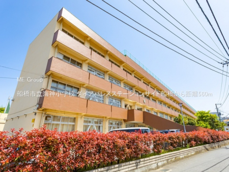 ���ӊ��@���w�Z 560m �D���s���C�_���w�Z