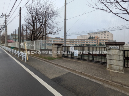 ���ӊ��@���w�Z 2530m ��t�s���֐X���w�Z